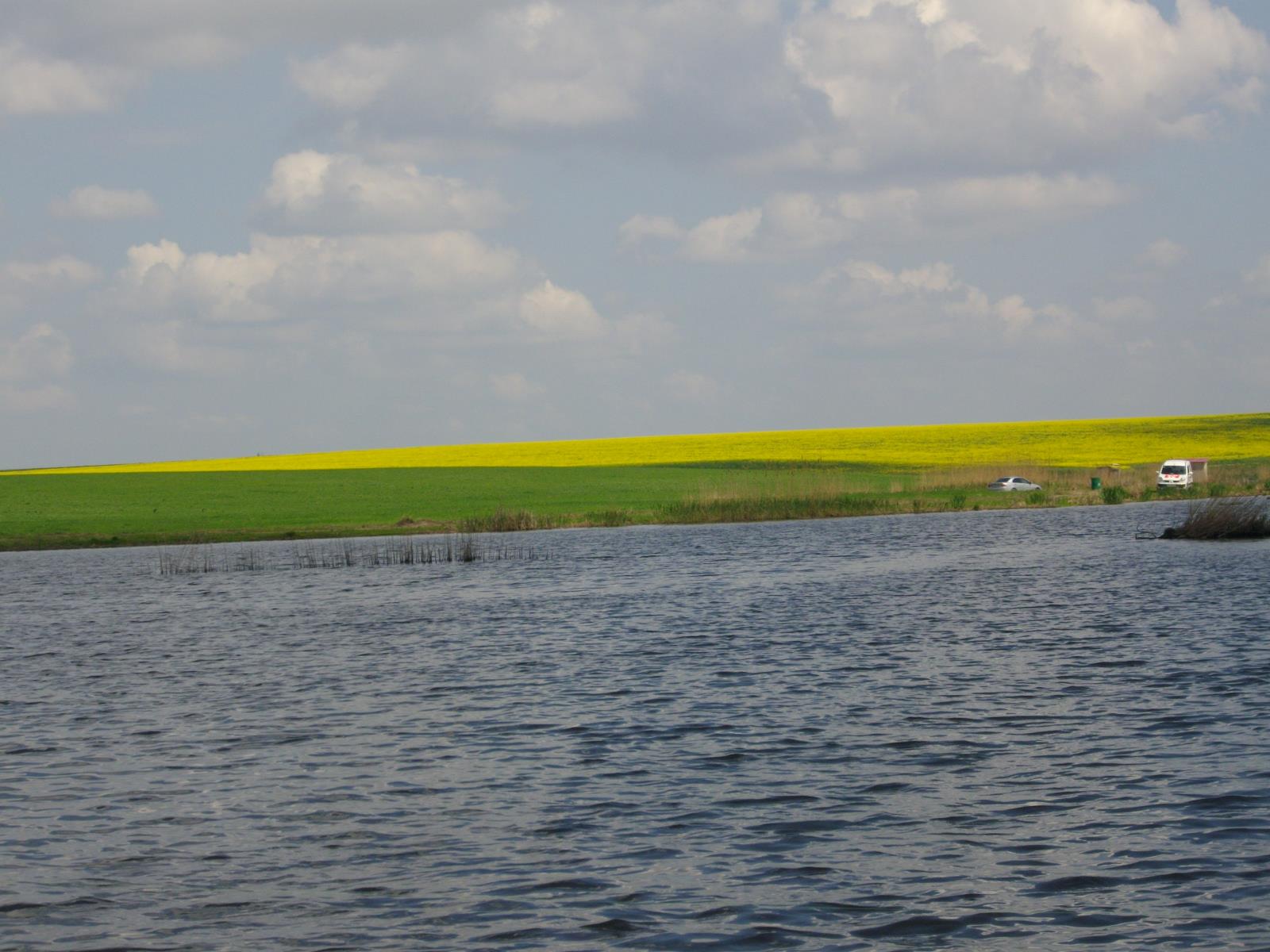 Lacul CHIROIU 4 - IMGP1004.JPG